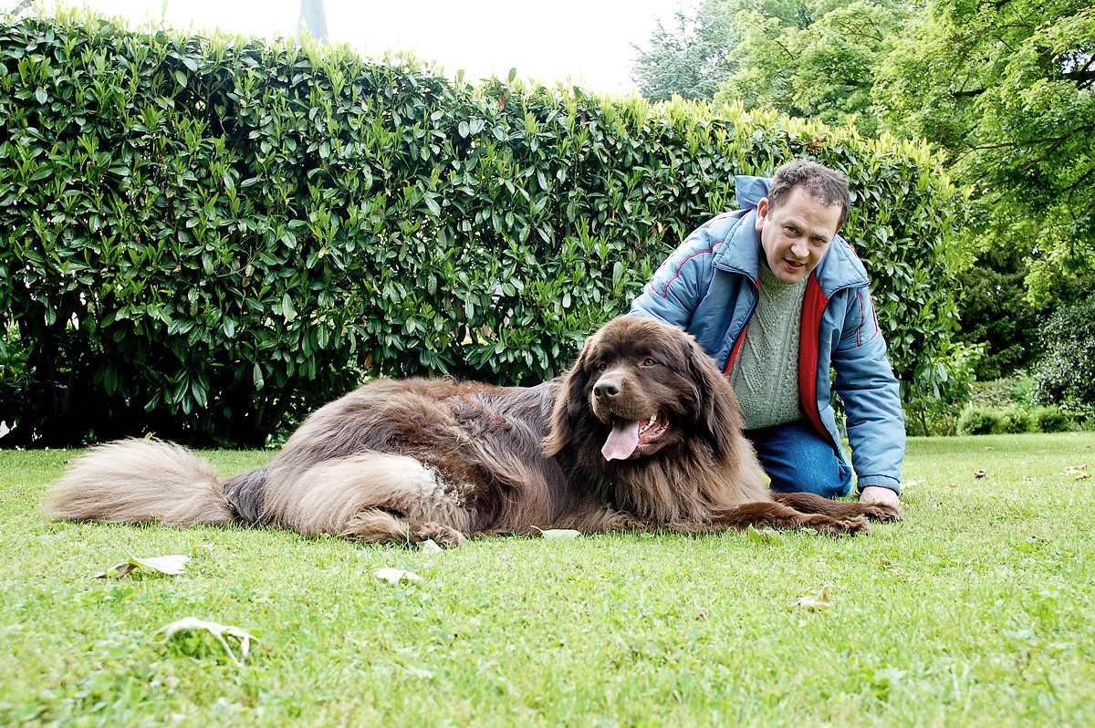 Jouvence-castel-brigade-animale-04